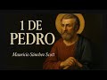 1 PEDRO Cap.2:11-25