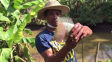 Kéo Lưới Quăng Chài Bắt Cá Và Món Cá Nướng Tại Chỗ | may tv