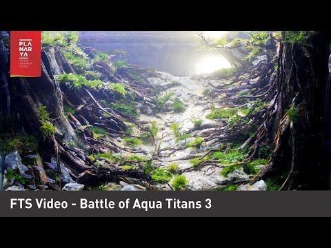 Aquascape Contest Battle of Aqua Titans 3 Full Tank Shot Video YouTube Aquascape Contest Battle of Aqua Titans 3 Full Tank Shot Video YouTube
