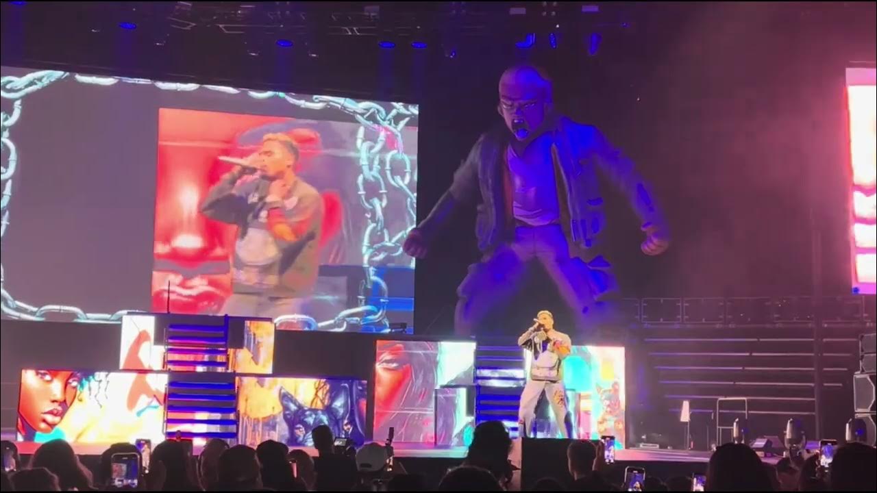 Chris Brown performs Mutt Remix at Tycoon Festival in Detroit Chris Brown performs Mutt Remix at Tycoon Festival in Detroit
