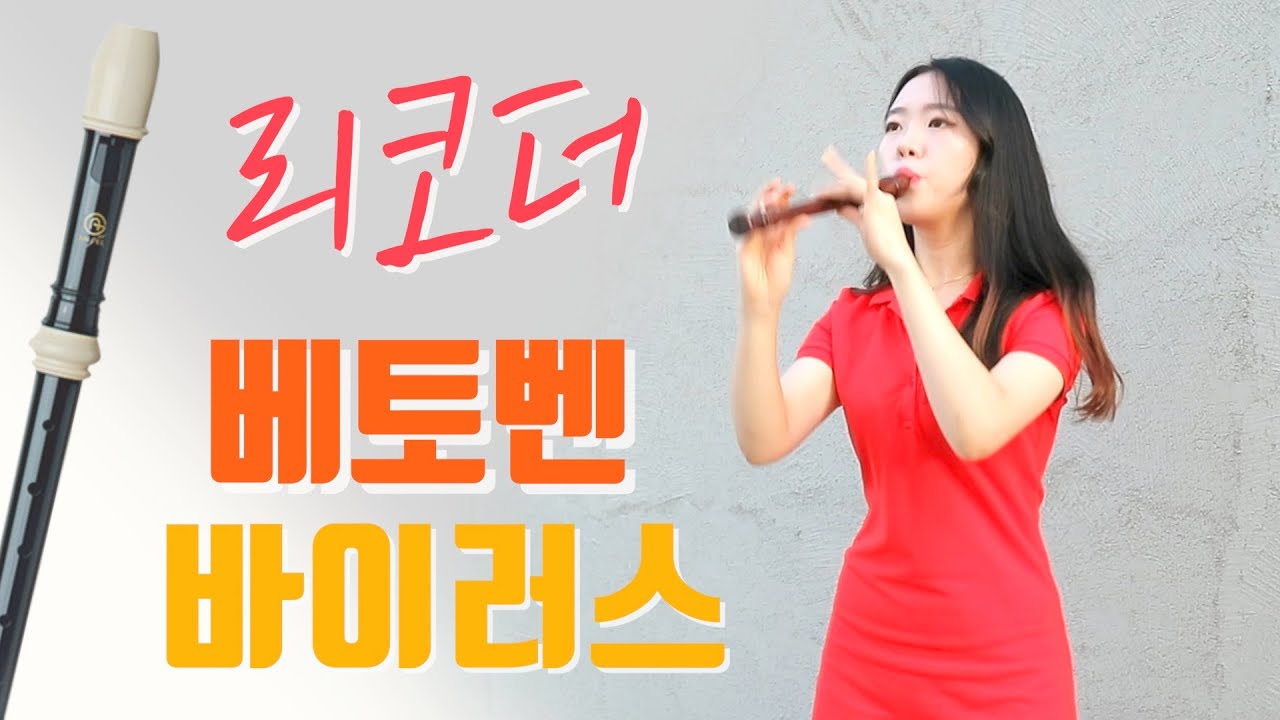 [리코더] 베토벤 바이러스 리코더 전곡 연주 (Beethoven Virus Recorder Cover) by 믕디의 반란