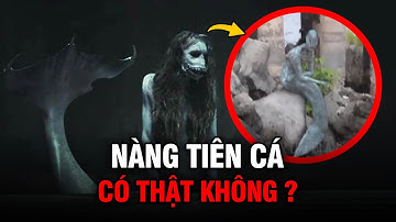 Những video chứng minh "NÀNG TIÊN CÁ" có thật ? | Túp Lều Bí Ẩn
