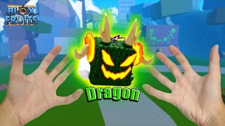 Khi Bạn Sở Hữu Trái Dragon Trong Blox Fruits