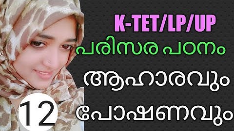 ആഹാരവും പോഷണവും,ജീവകങ്ങൾ, K-TET /LP/UP.