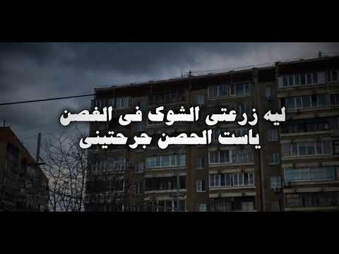 ليه زرعتى الشوك فى الغصن يا ست الحسن جرحتييينى