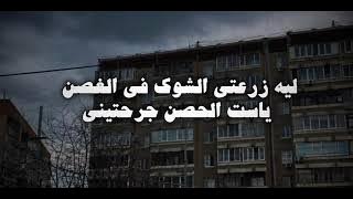 *ليه زرعتى الشوك فى الغصن يا ست الحسن؟ جرحتييينى.*🥹🥺🤕