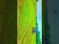#kheti suru ho gayi #desilover #short video #🥰🥰🥰