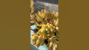 Thumbnail of Nagmamagandang california sunset🥰