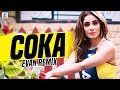 Haye Ni Tera Coka Coka (Remix) | Evan | Sukh-E Muzical Doctorz | Alankrita Sahai