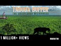 Tadoba andhari tiger reserve  buffer zone marathi film