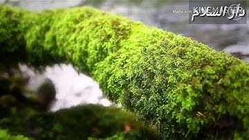 إذاعة دار السلام.. اذكار الصباح بصوت مقداد السامرائي