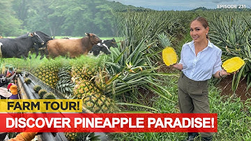 FARM HEAVEN? Libreng Pabahay, Paaral, Healthcare For Farmers! | Karen Davila Ep231