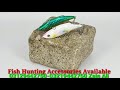 Fish hunting accessories available 03459442750 zain ali farming in pakistan