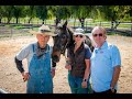 The Pet Psychic ® Talks With A Vietnam Veteran & A Retired Polo Pony On How They Help Each Other.