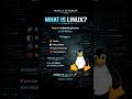 Still using only Windows?#Linux #CyberSecurity #EthicalHacking #HackingLife#TechReels #artixlinux