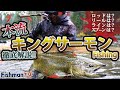 【流れに翻弄】本流キングサーモンの釣り方！本流から小さなバイトを取ったら一気に100m走られてしまう強烈な釣り！【Fishman】【フィッシュマン】