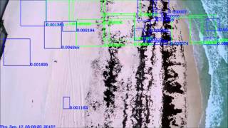 Information Automatic Turtle Nest Detection via Deep Learning News
