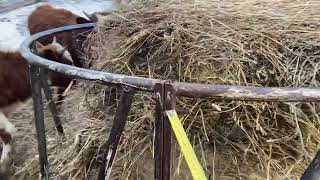 видео: Размеры уличной кормушки для скота картинка: Размеры уличной кормушки для скота