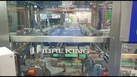 Top Load RSC Case Packer - Biscuit Cartons