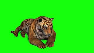 Green screen harimau hd