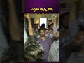 ఎన్టీఆర్ ఫ్యాన్స్ జోష్! Jr NTR Birthday Celebrations || NTVEN