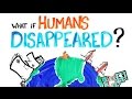 دراسة علمية: ماذا سيحدث لو اختفى كل البشر من الأرض ؟