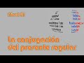 Conjugación de Verbos en Español