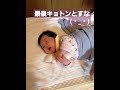 最近はなんでもハムろうとするね。#無職#独身#赤ちゃん#育児#ひきこもり#4ヶ月赤ちゃん#4ヶ月#寝かし付け#shorts#シェアハウス#シェアハウスで子育て