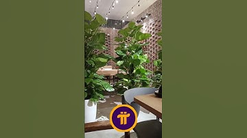ăn tối cùng Pi Network #investtv #coin #pinetwork #pi #picoin #crypto #dinner #shorts #viral #trend