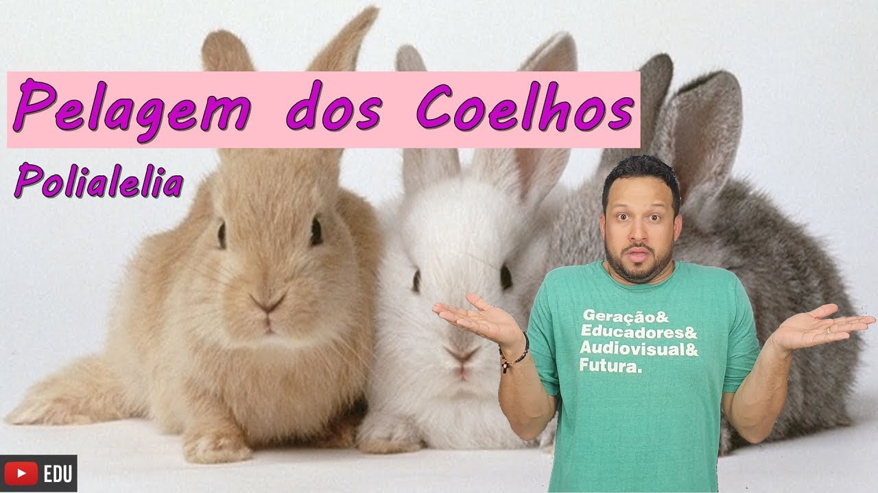 Pelagem dos Coelhos - Polialelia - Biologia com o Tubarão