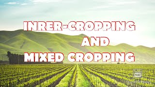 What is inter cropping and mixed cropping ?