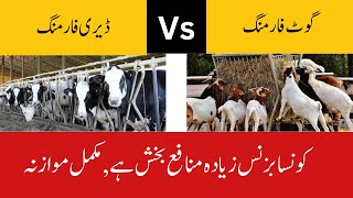 Comparison Between Dairy Farming and Goat Farming Which buisness is more Profitable || Dr Noman Ali