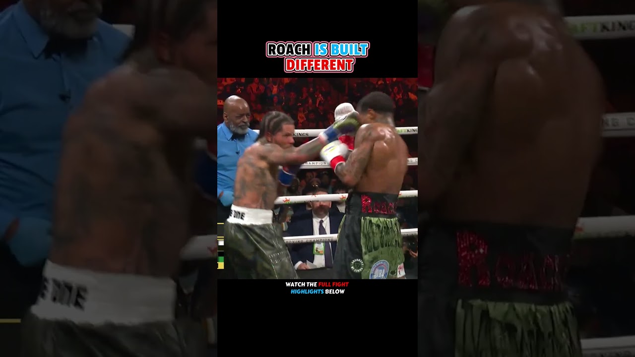 Davis VS. Roach | HIGHLIGHTS #boxing #sports #combat