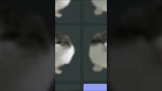 cat gif meme credit to discord and youtuber that create this #shorts cat gif meme credit to discord and youtuber that create this #shorts