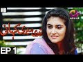 Teri Meri Kahani - Episode 1 | A Plus ᴴᴰ Drama | Agha Ali, Hiba Qadir, Fahad Rehmani