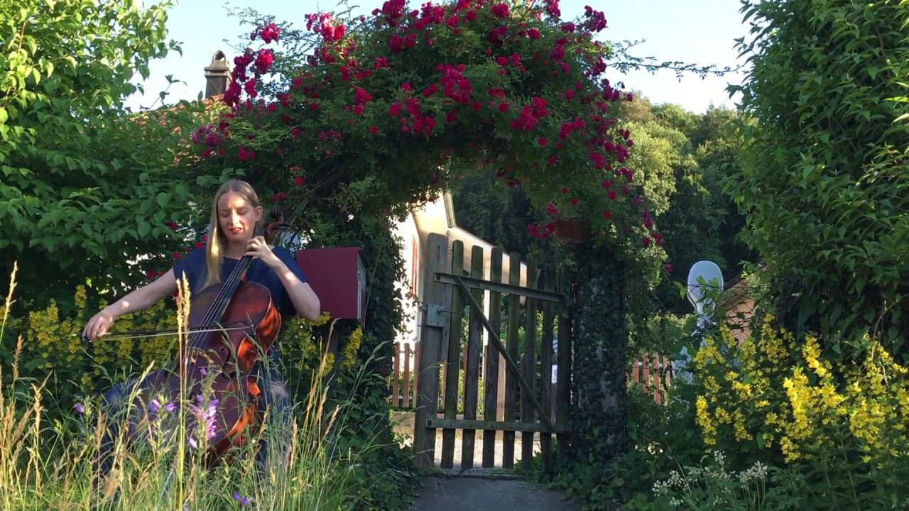 Down by the Salley Gardens - by The Celtic Cello