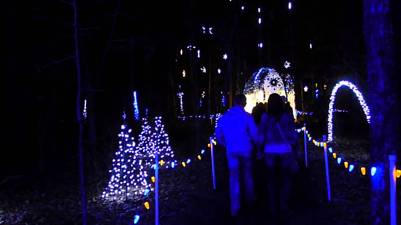 Holiday Lights At Garvan Woodland Gardens In Hot Springs Arkansas