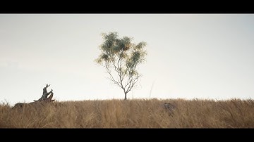 The Pride Lands - An Unreal Engine 5 Project