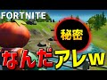 ガチ勢なら知ってる?ボートに隠された『チート級の裏ワザ』で味方を絶望させてみたww【しょうじ一味】【フォートナイト/Fortnite】