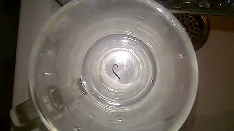 Червь в водопроводной воде