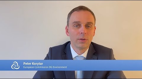 One Substance, One Assessment with Peter Korytar from the European Commission, DG Environment