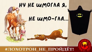 НУ НЕ ШМОГЛА Я, НЕ ШМОГЛА или ФАТИМА ПРОДОЛЖАЕТ ГОНЯТЬ МОШЕННИКОВ