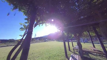 Hawkeye Firefly x lite  Not stabilized by Gyroflow