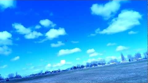 T-Rex 550E DFC Head Mild 3D Flight