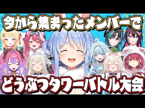 【緊急】今から集まったメンバーでどうぶつタワーバトル大会開催します✨✨ぺこ!【ホロライブ/兎田ぺこら】 video thumb