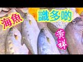 海魚🐟黃祥魚🦧賣魚姨姨好介紹🧙認識真正海魚🐟見到👀要買嚟食😋 魚肉一梳梳👍 肉質實淨嫩滑$2.5 超抵食海魚💲😋❓肉質的確有不同🤨薑蔥💧蒸魚🐟一點薑絲蔥段 保留鮮味🐠海黃祥Steam Fish