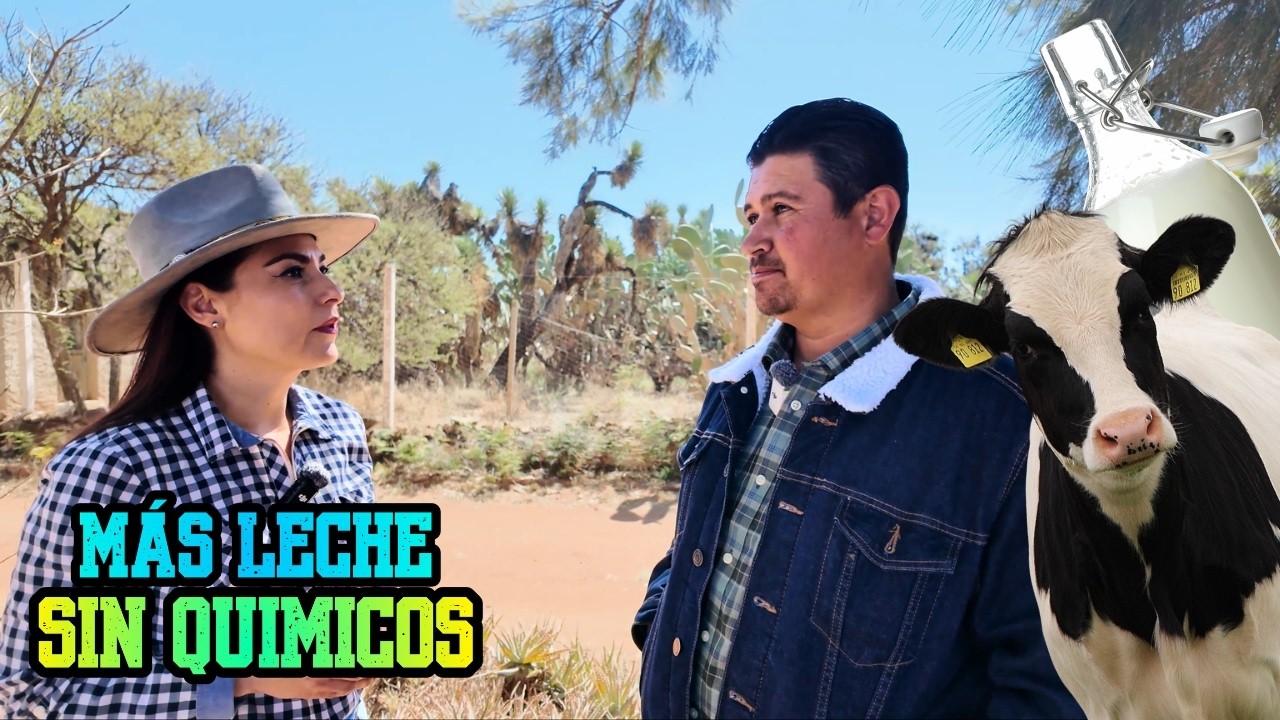 “AGUA ESTRUCTURADA me ayudó a incrementar la producción en ganado BOVINO y PORCINO: MVZ Ruvalcaba”.