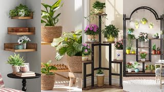 Home Decor Shopping Wayfair Interior Furniture Design Plant Shelf Ideas for Green Indoor Styling