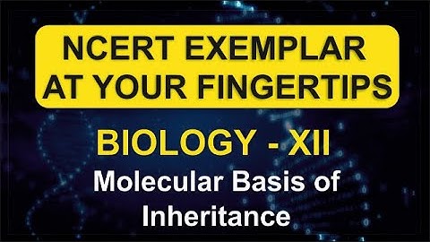 #6  Molecular Basis of inheritance | NCERT Exemplar Biology Class 12