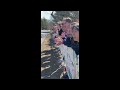 Experience the Wellesley College Scream Tunnel at the 2026 Boston Marathon